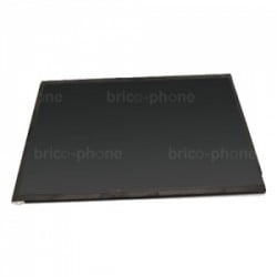 Ecran LCD pour iPad 2 photo 3