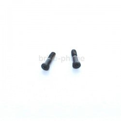 Lot des 2 vis pentalobe noires pour iPhone 5C photo 2