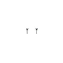 Lot de 2 vis pentalobes Argent pour iPhone 8 et 8 Plus