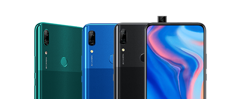 P Smart Z