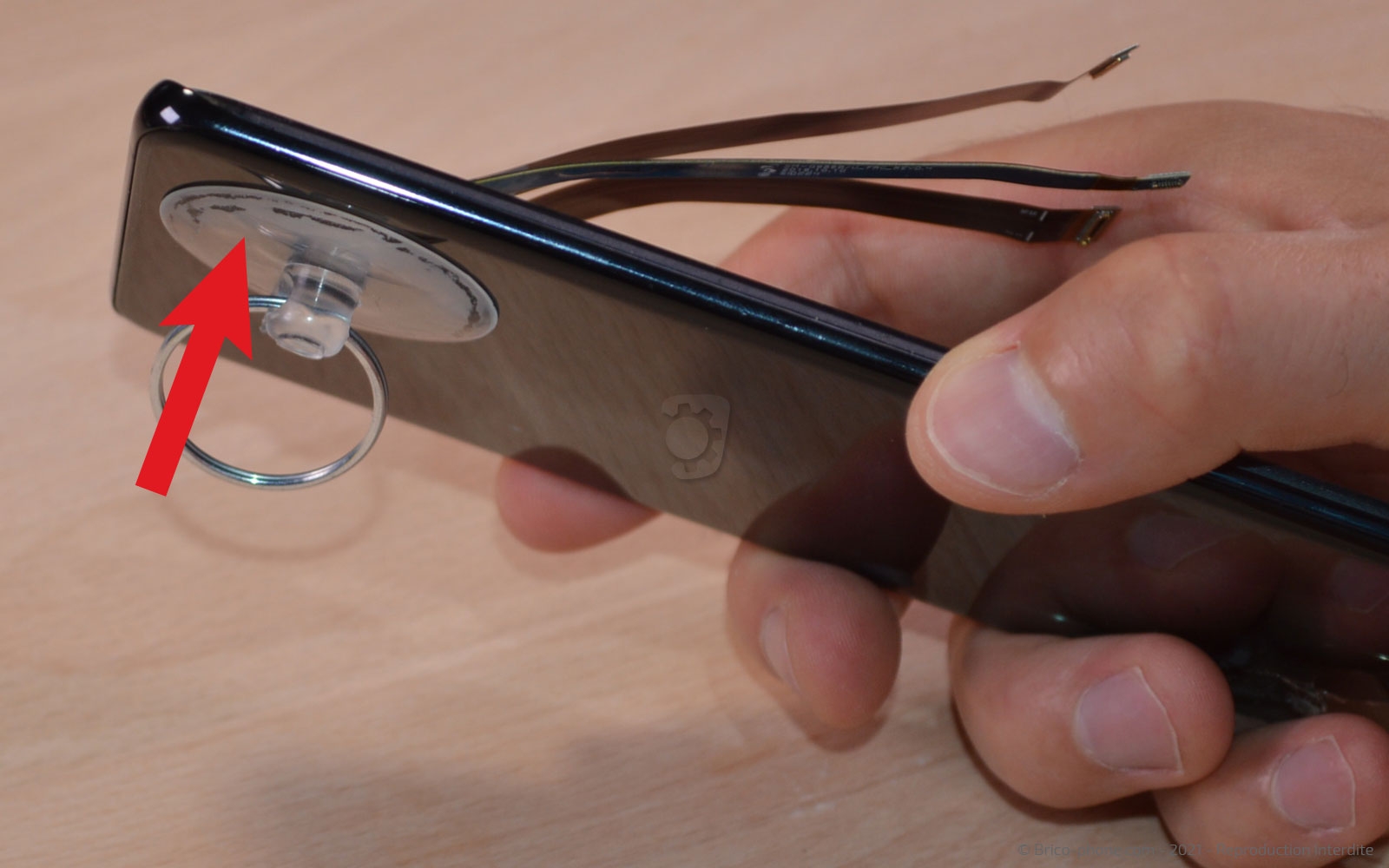 Démontage complet sur Galaxy S20 Plus photo 4