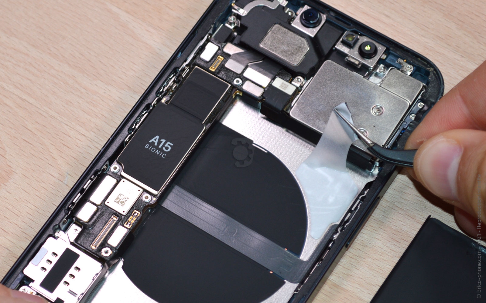 Changement de la batterie sur iPhone 13 photo 3