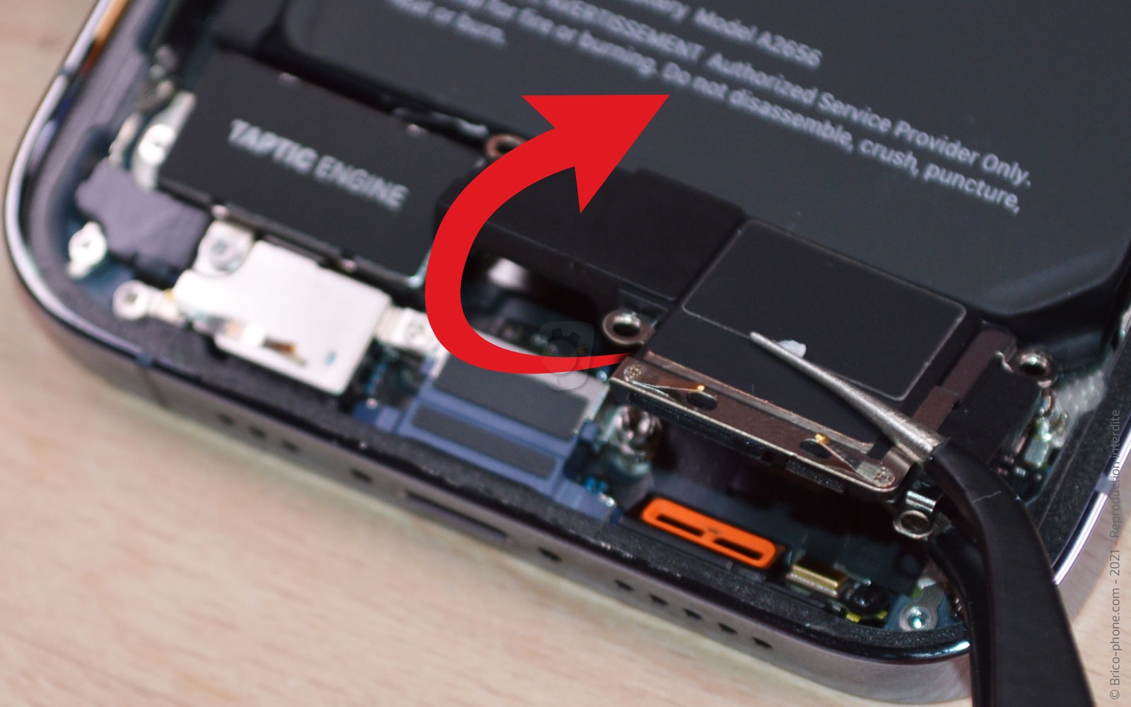 Changement du haut-parleur externe sur iPhone 13 Pro photo 2