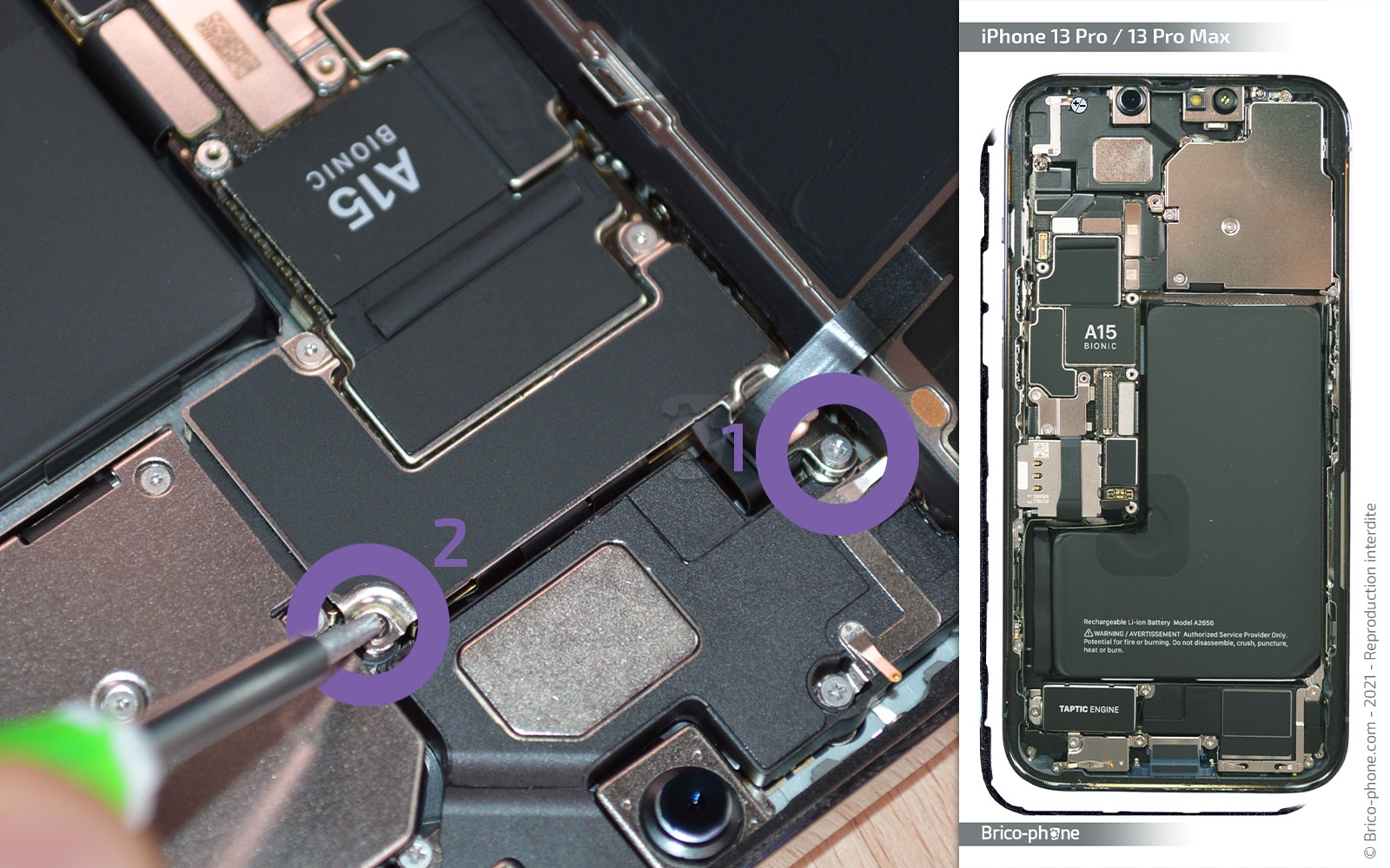 Comment remplacer le Taptic Engine (vibreur) sur iPhone 13 Pro Max photo 2