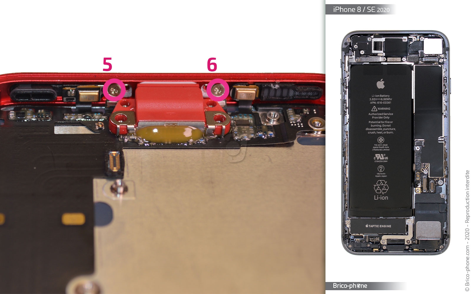 Démontage complet sur iPhone SE 2022 photo 2