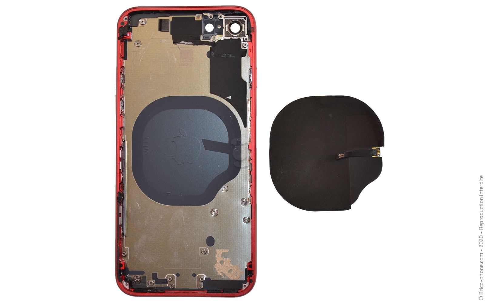 Démontage complet sur iPhone SE 2022 photo 3