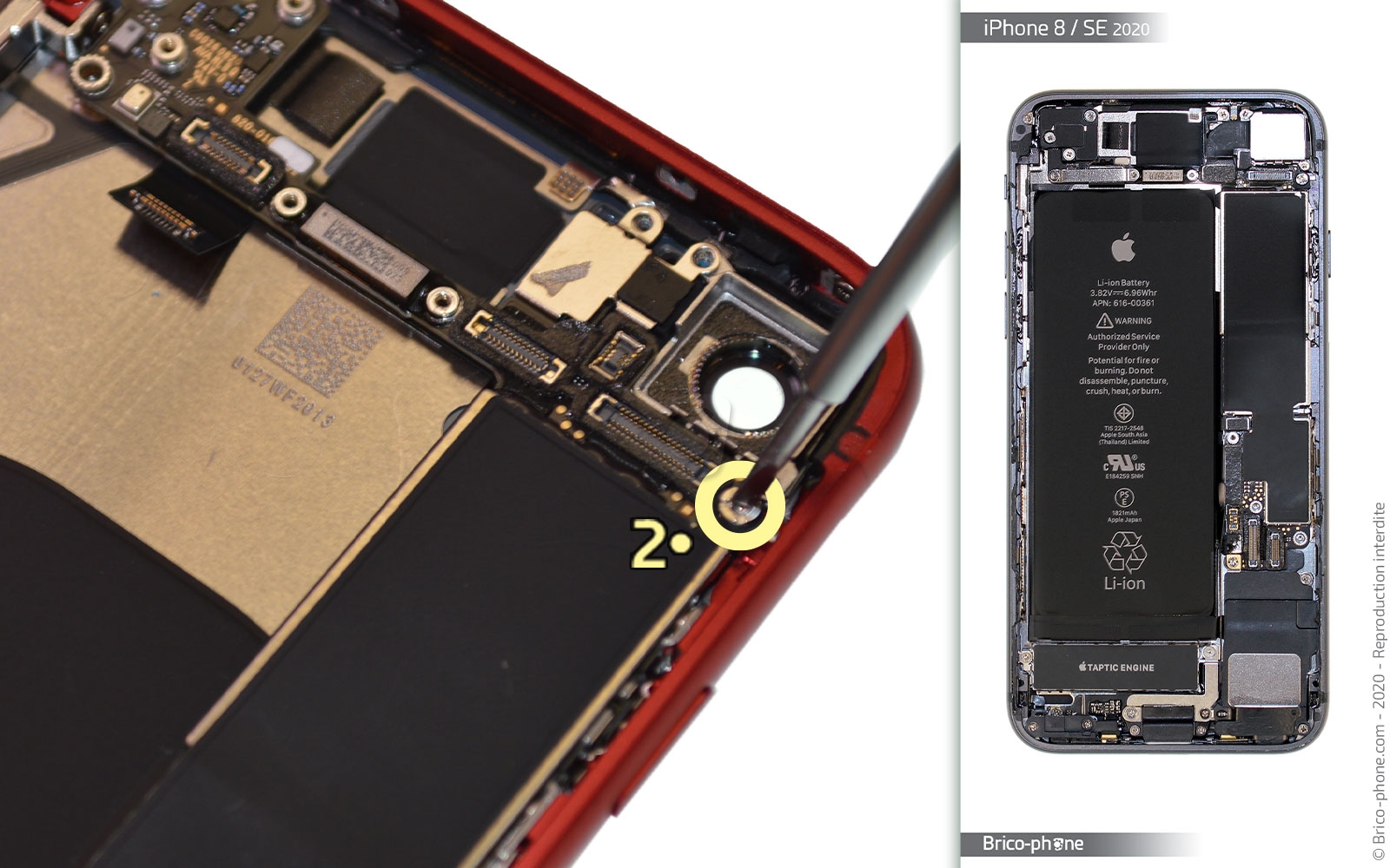 Démontage complet sur iPhone SE 2022 photo 2