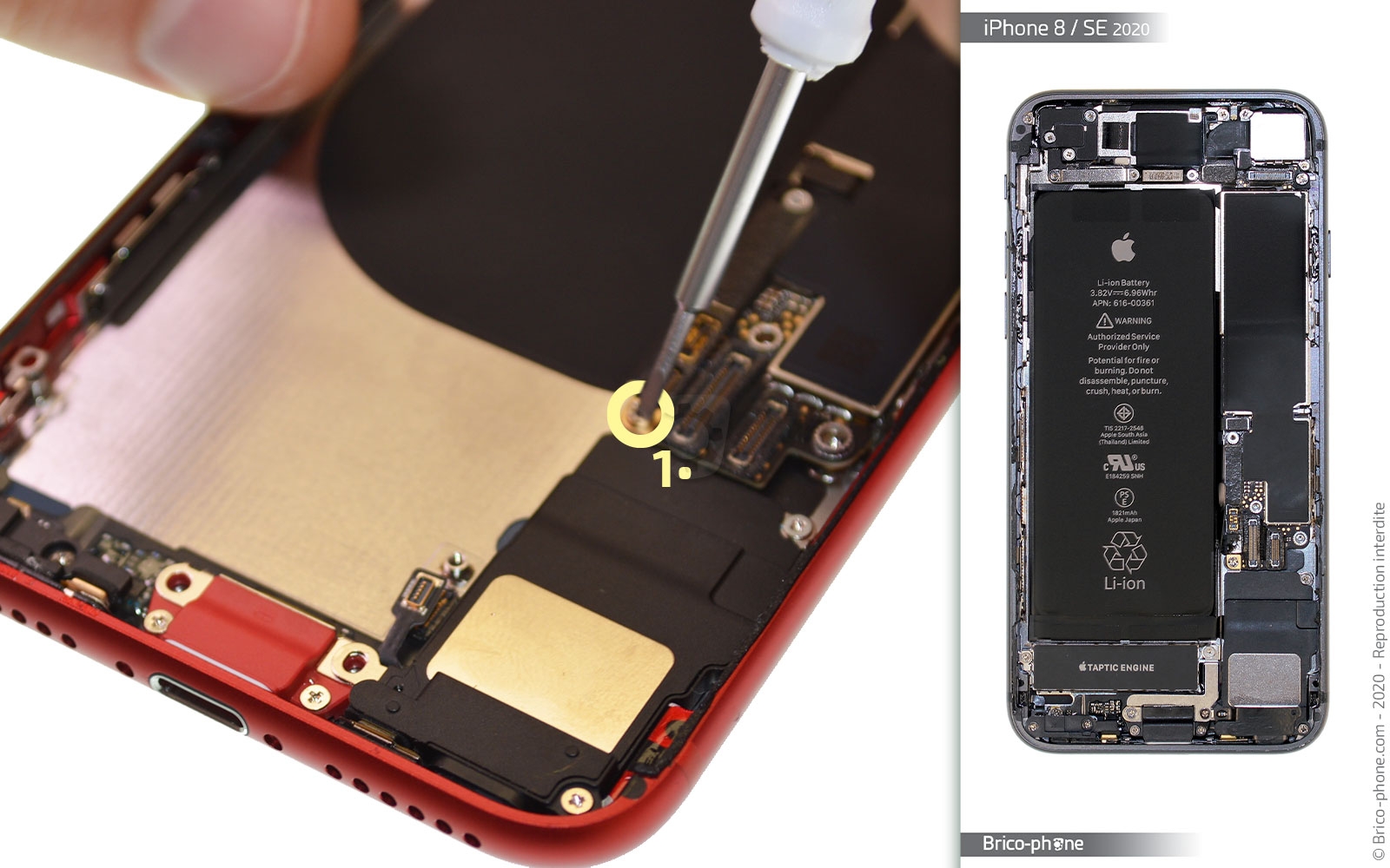 Démontage complet sur iPhone SE 2022 photo 3