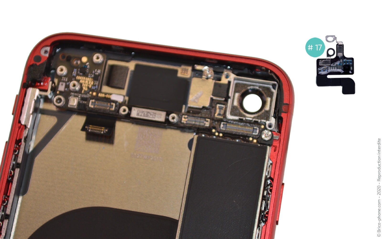 Démontage complet sur iPhone SE 2022 photo 4