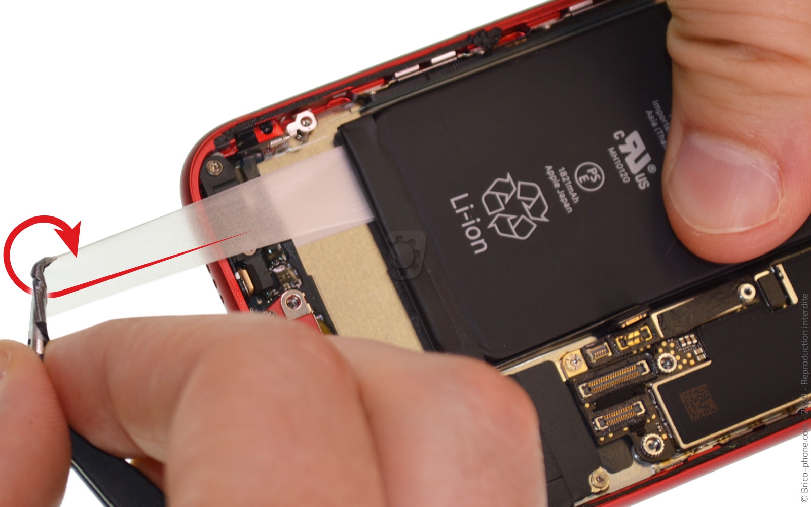 Démontage complet sur iPhone SE 2022 photo 2