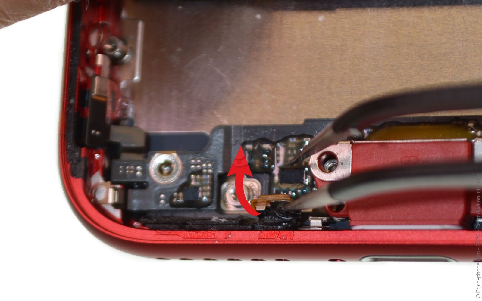 Démontage complet sur iPhone SE 2022 photo 2