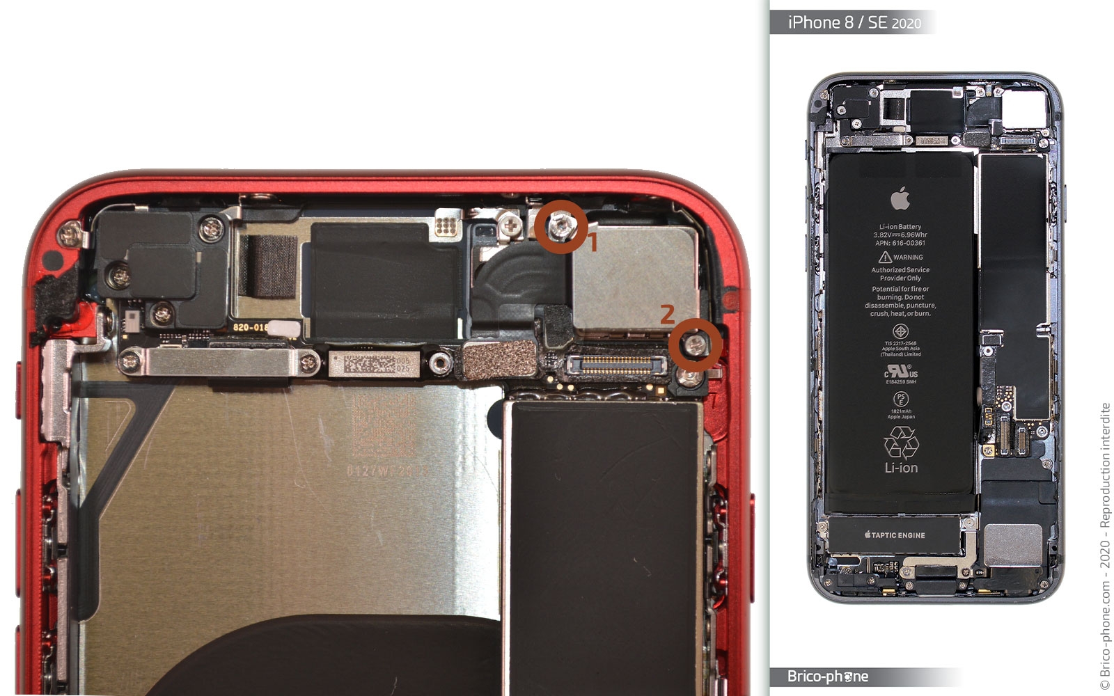 Démontage complet sur iPhone SE 2022 photo 1