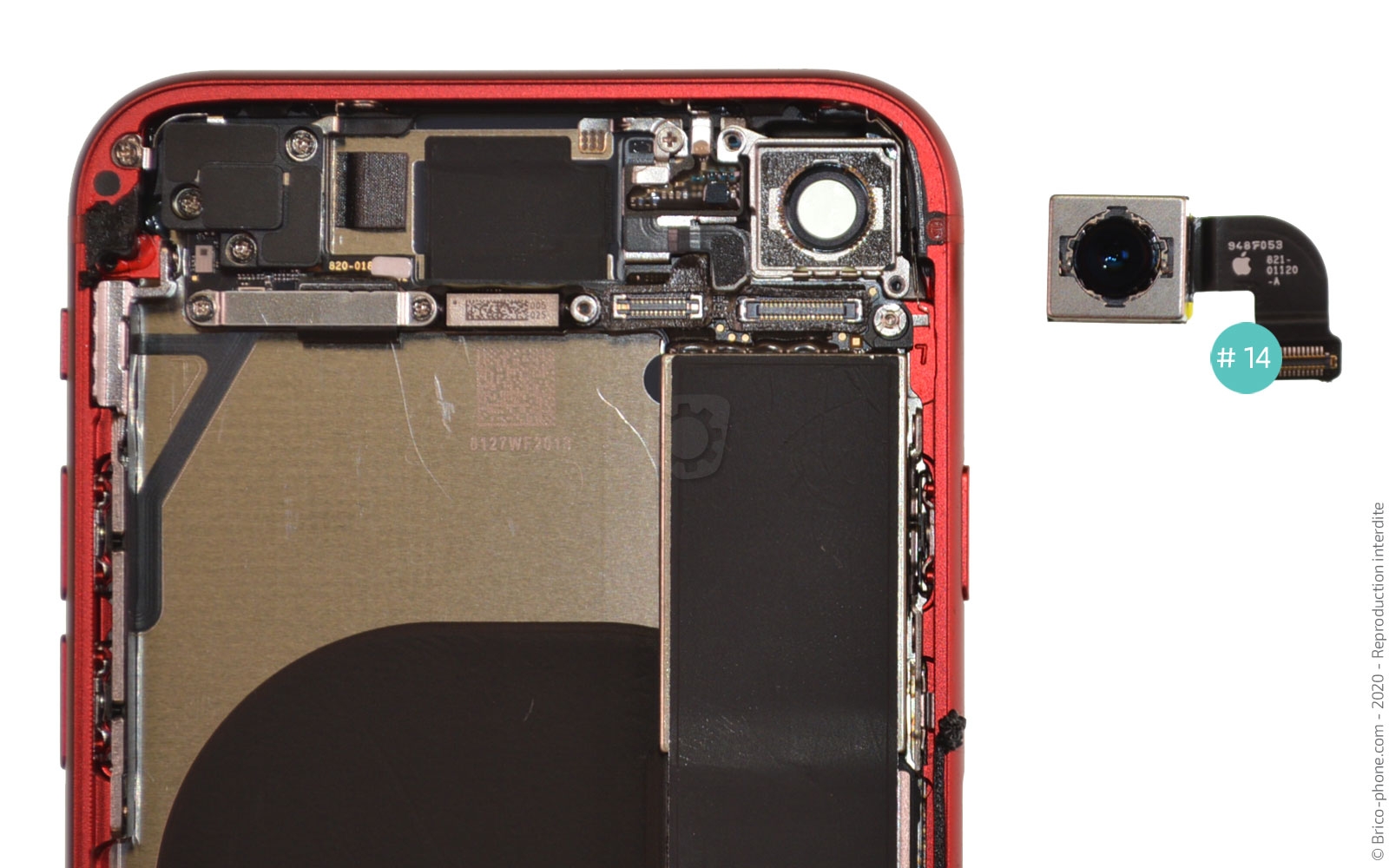 Démontage complet sur iPhone SE 2022 photo 4