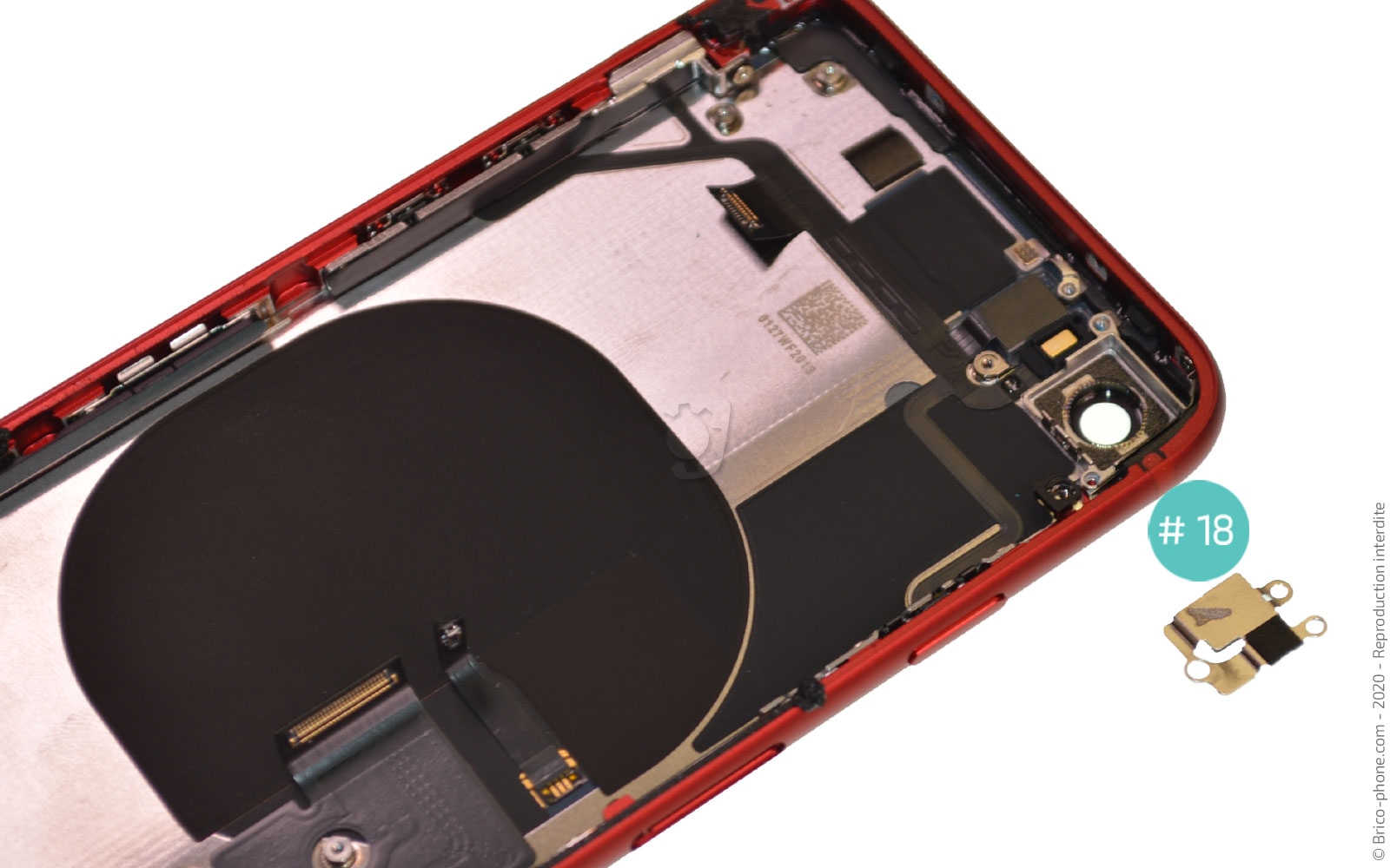 Démontage complet sur iPhone SE 2022 photo 2