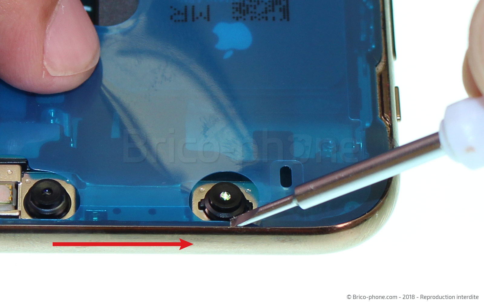 Changement du haut-parleur interne sur iPhone XS Max photo 2