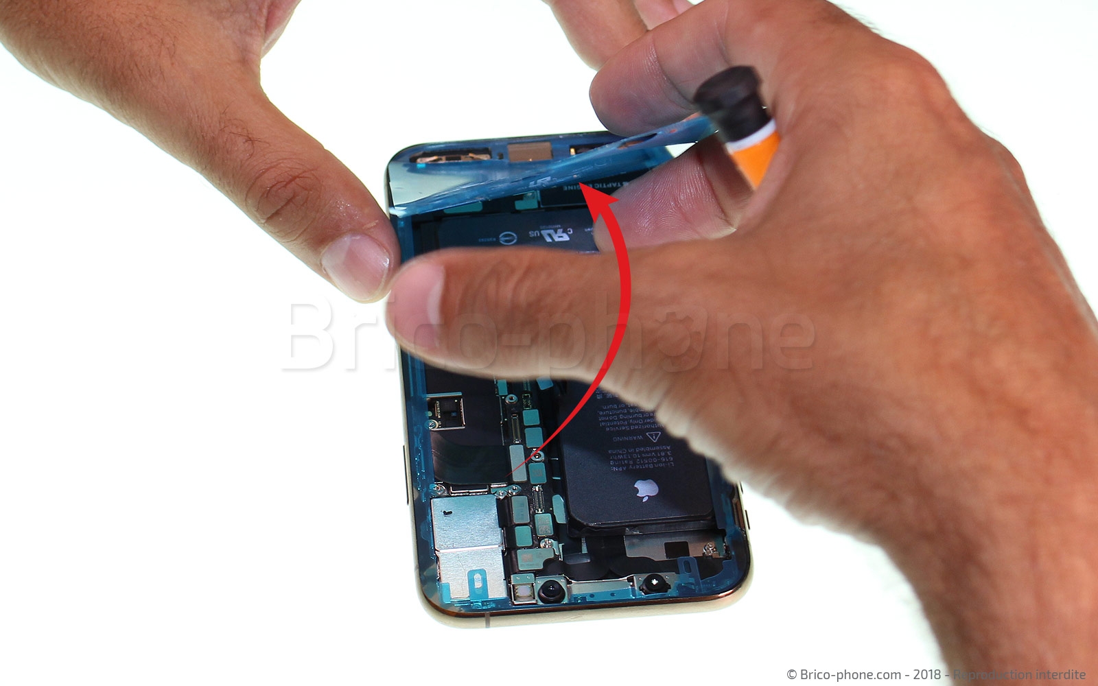 Changement du haut-parleur interne sur iPhone XS Max photo 3