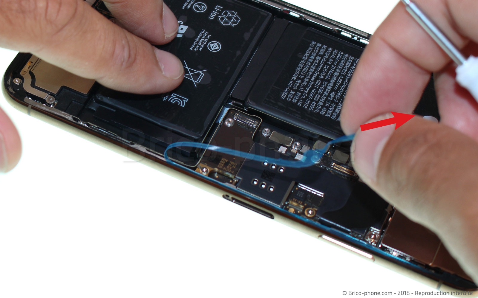 Changement du haut-parleur interne sur iPhone XS Max photo 4
