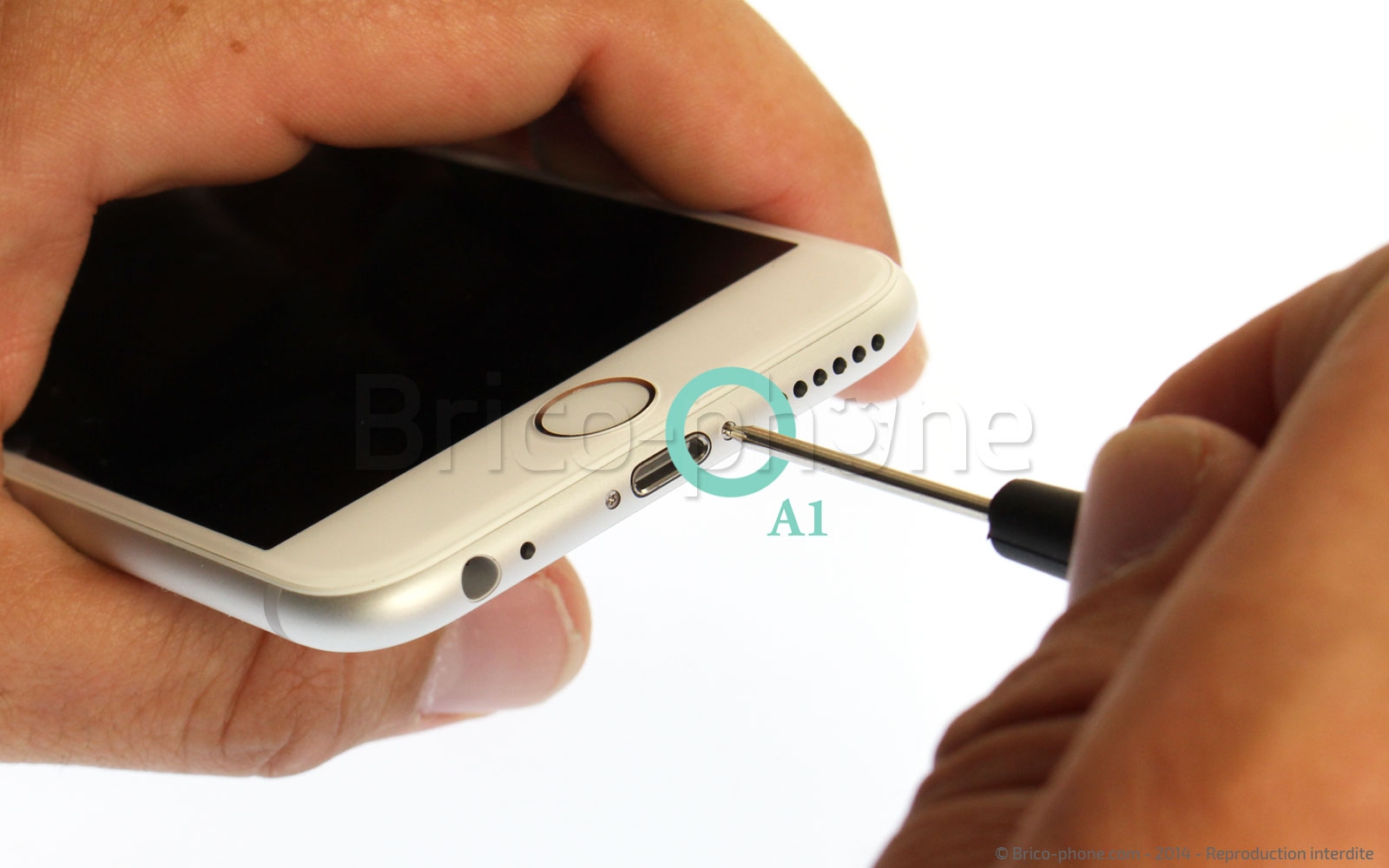 Changement de nappe caméra avant Facetime sur iPhone 6 photo 1