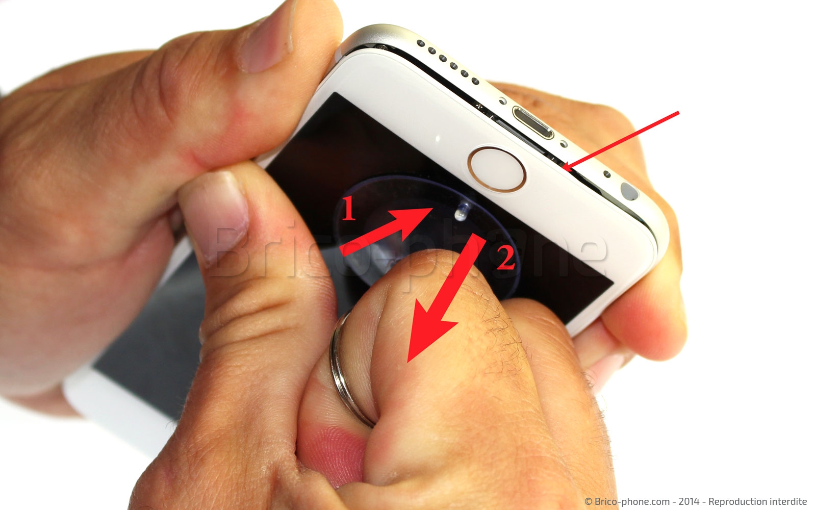 Changement de nappe caméra avant Facetime sur iPhone 6 photo 1