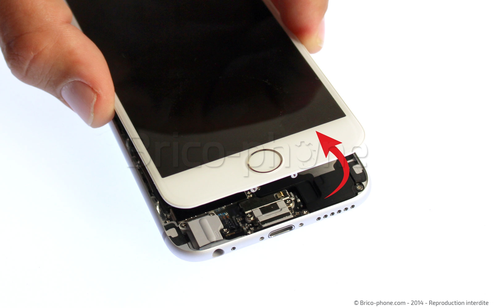 Changement de nappe caméra avant Facetime sur iPhone 6 photo 2