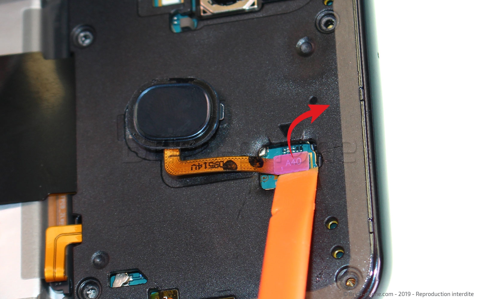 Démontage complet sur Galaxy A40 photo 2