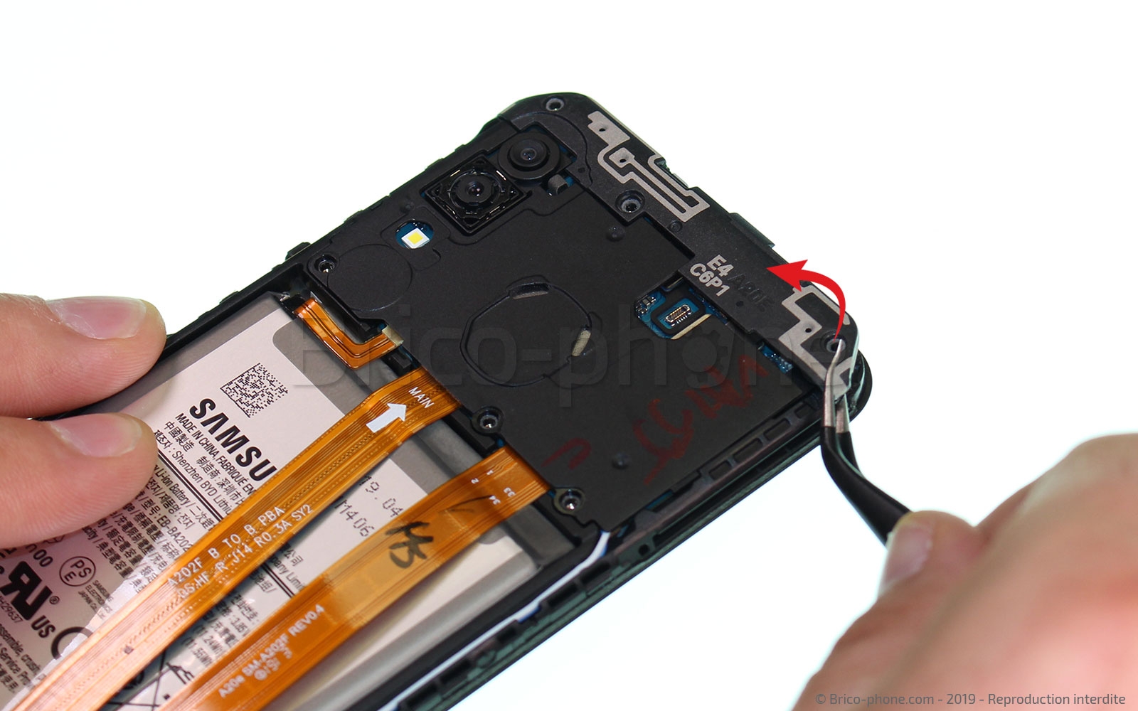 Démontage complet sur Galaxy A20e photo 2