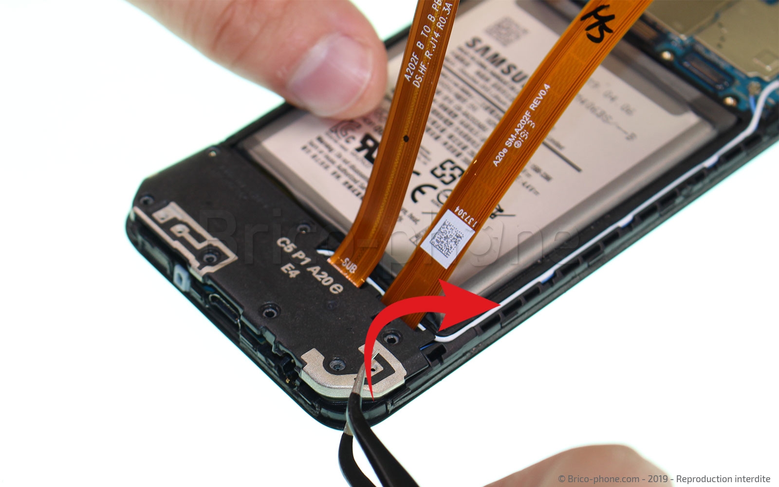 Démontage complet sur Galaxy A20e photo 2