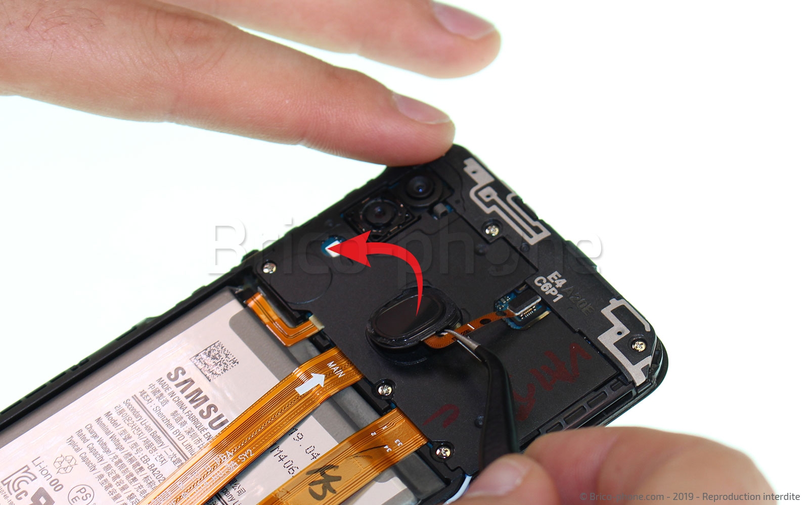 Démontage complet sur Galaxy A20e photo 2