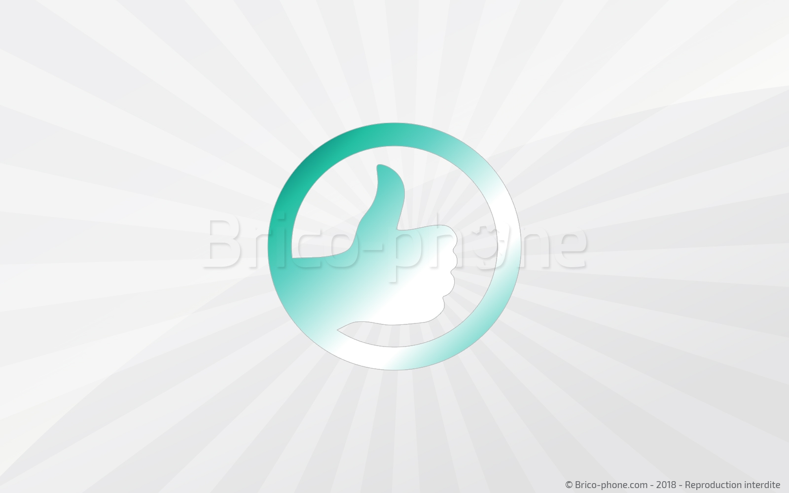 Changement de connecteur de charge sur Mate 20 photo 3