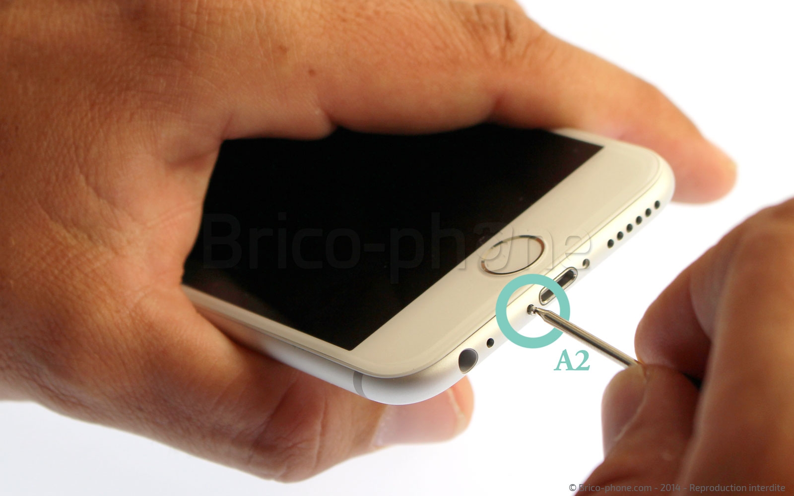 Changement du haut-parleur interne sur iPhone 6 photo 2