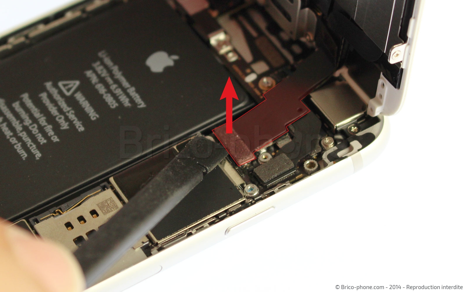 Changement du haut-parleur interne sur iPhone 6 photo 1