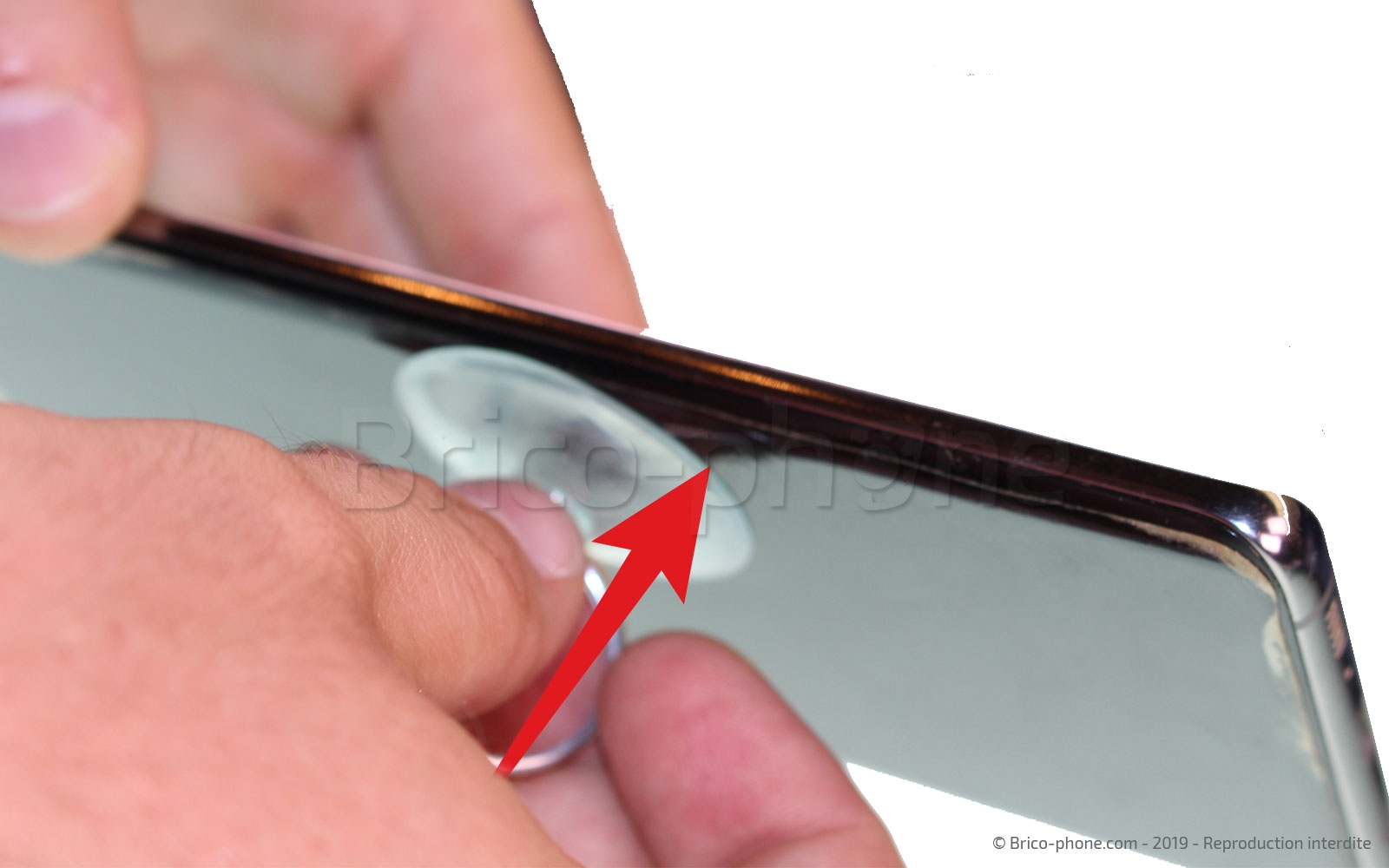 Démontage complet sur Galaxy S10 Plus photo 2