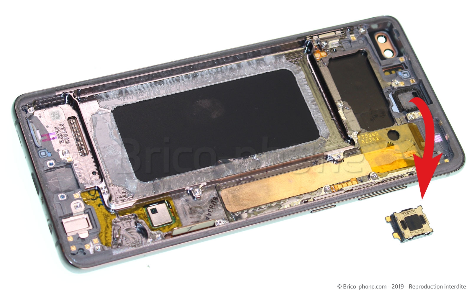 Démontage complet sur Galaxy S10 Plus photo 4