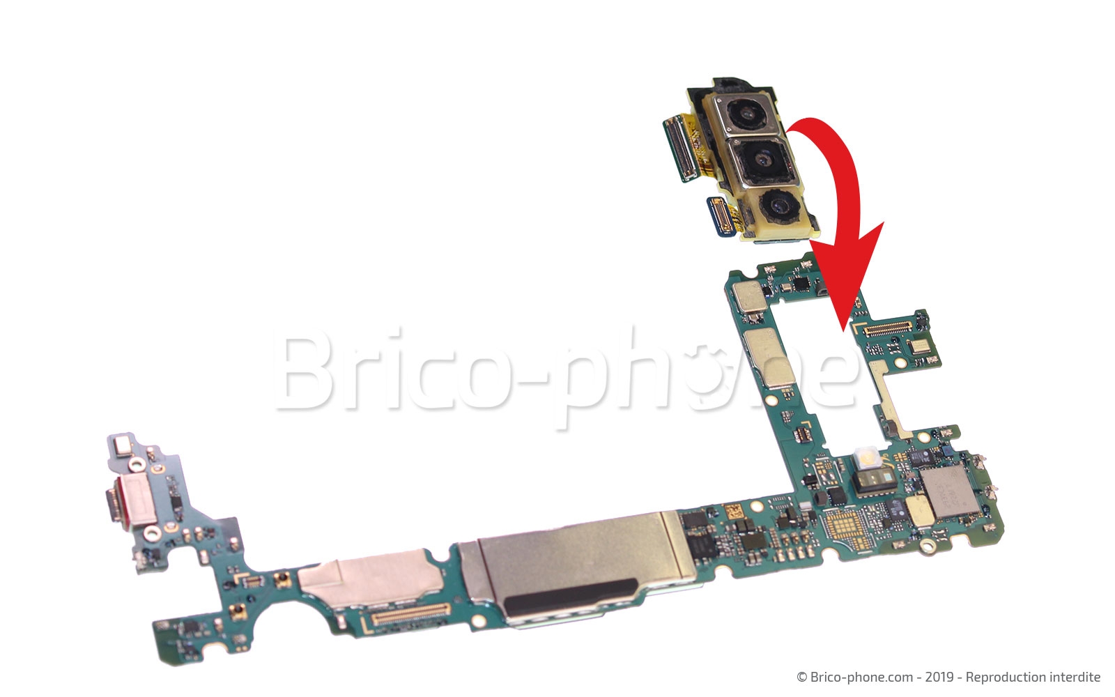 Démontage complet sur Galaxy S10 Plus photo 3
