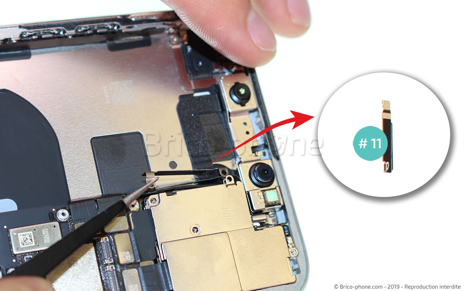 Démontage complet  sur iPhone 11 Pro Max photo 2