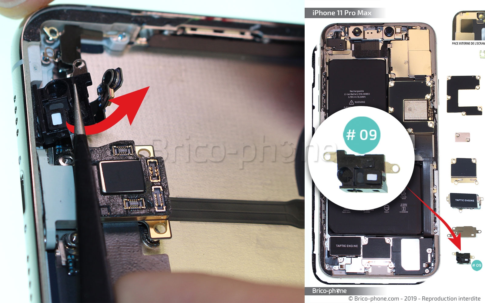 Démontage complet  sur iPhone 11 Pro Max photo 1