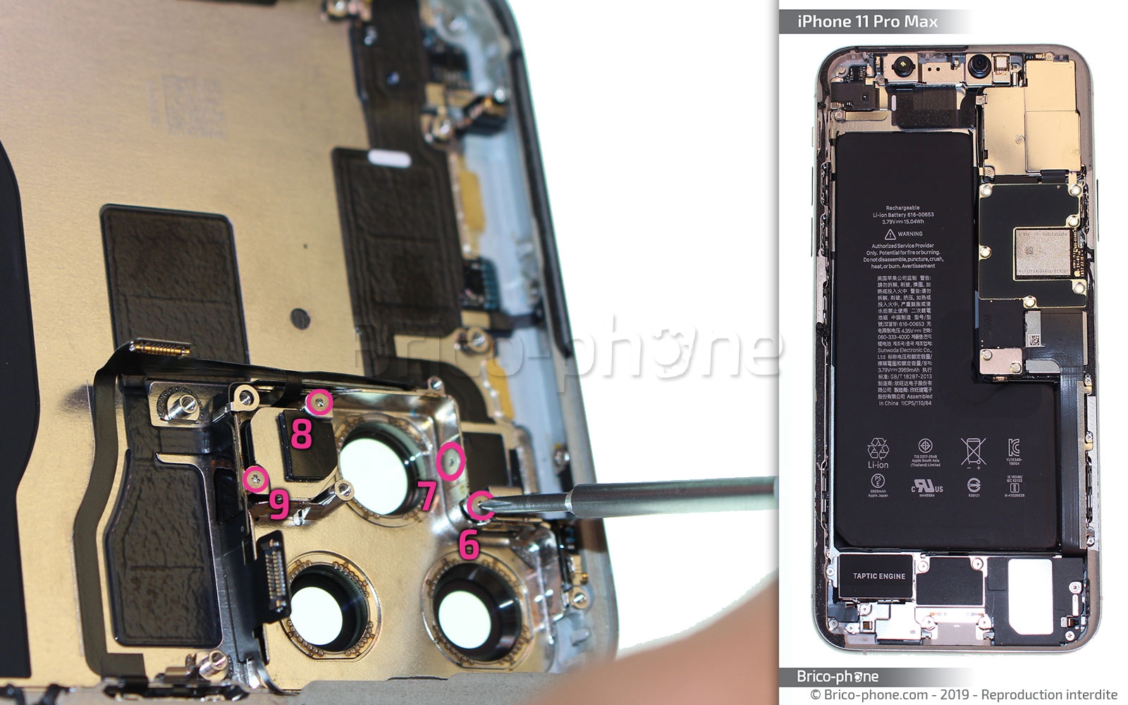 Démontage complet  sur iPhone 11 Pro Max photo 1