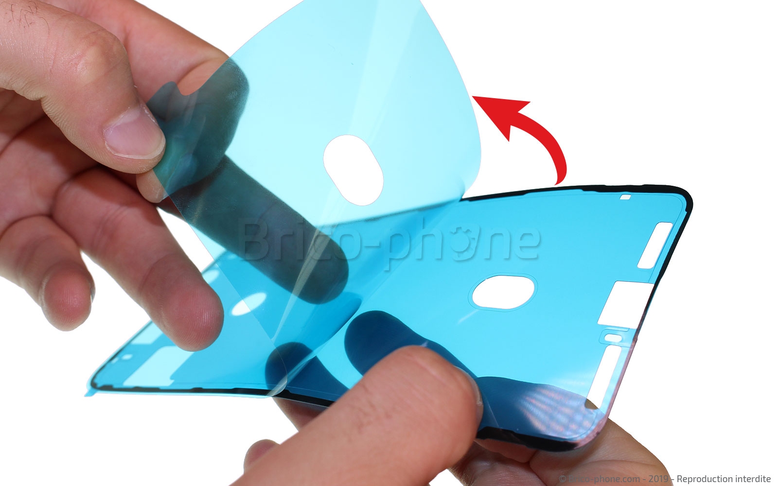 Changement du connecteur de charge sur iPhone 11 Pro photo 2