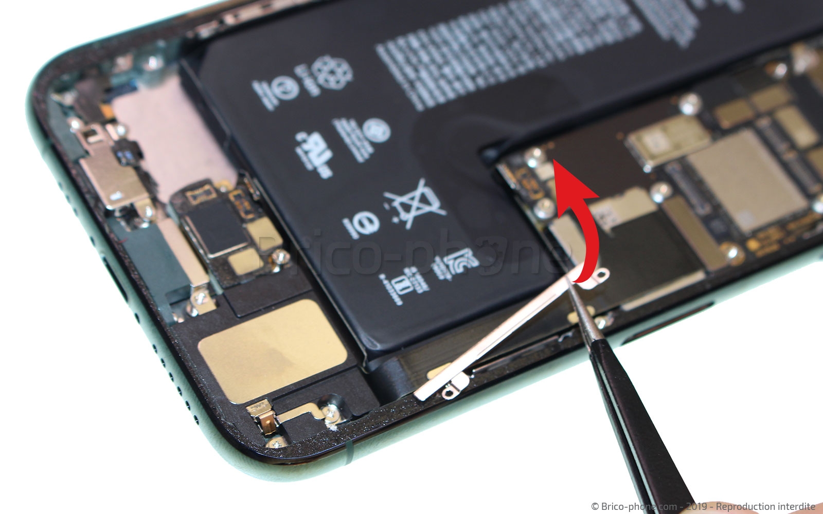 Démontage complet sur iPhone 11 Pro photo 2