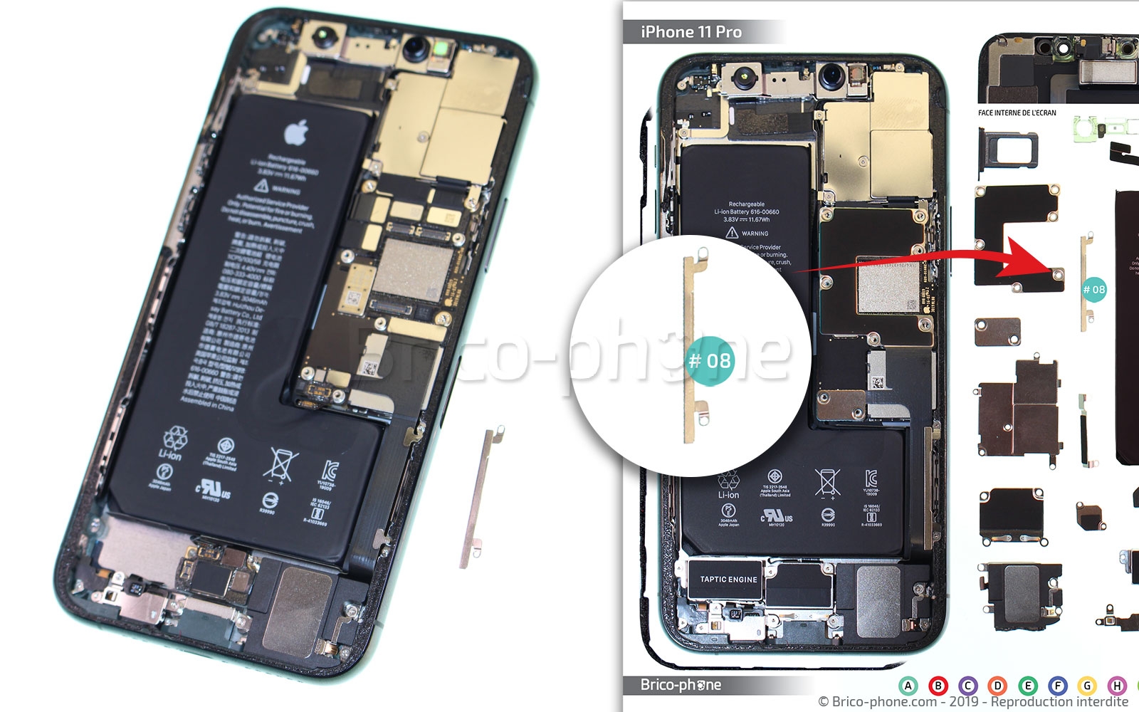 Démontage complet sur iPhone 11 Pro photo 3