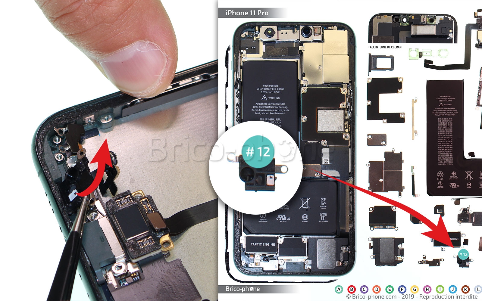 Démontage complet sur iPhone 11 Pro photo 2