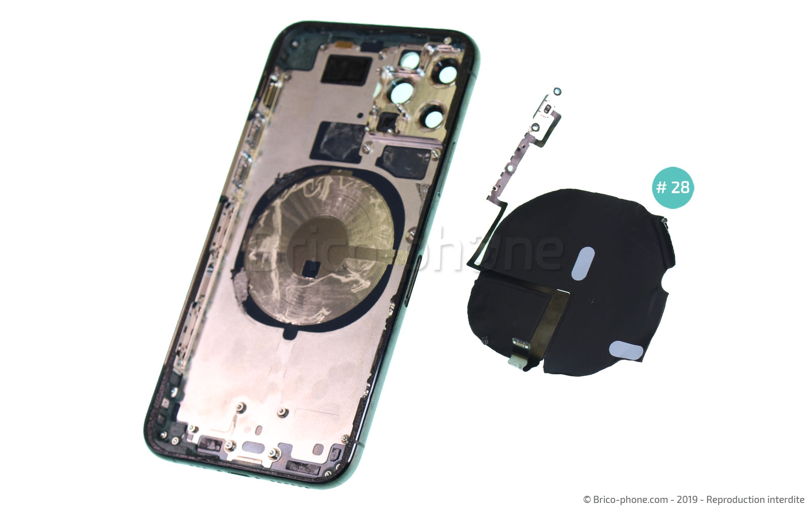 Démontage complet sur iPhone 11 Pro photo 4