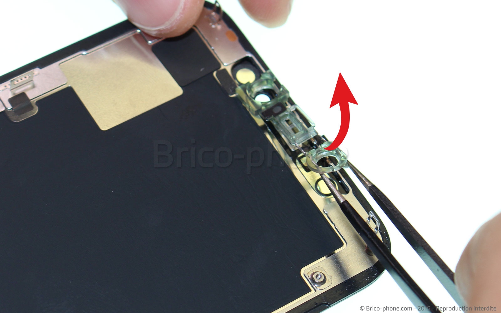 Démontage complet sur iPhone 11 Pro photo 3