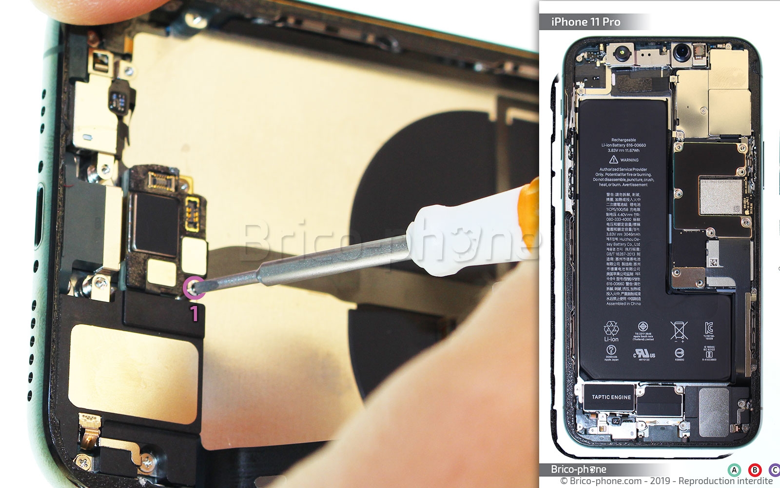 Démontage complet sur iPhone 11 Pro photo 1