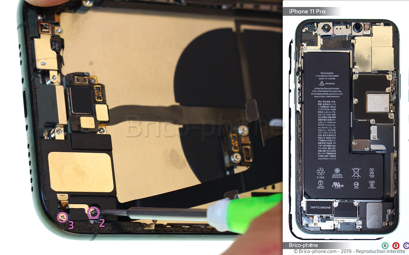 Démontage complet sur iPhone 11 Pro photo 2