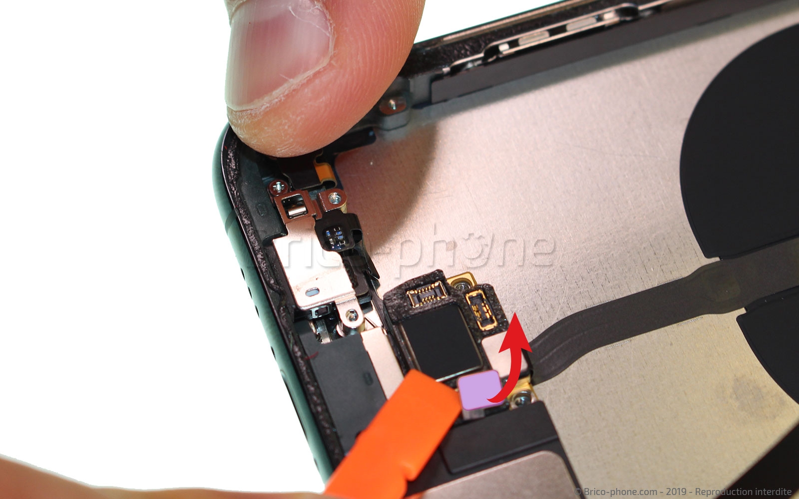 Démontage complet sur iPhone 11 Pro photo 3