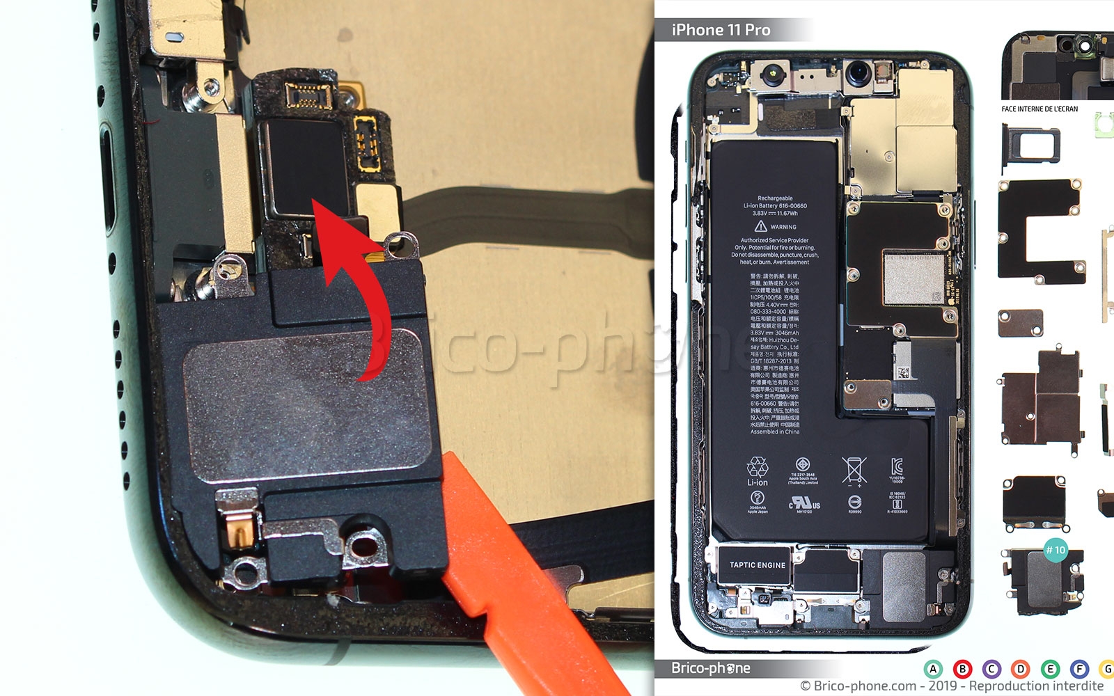 Démontage complet sur iPhone 11 Pro photo 4
