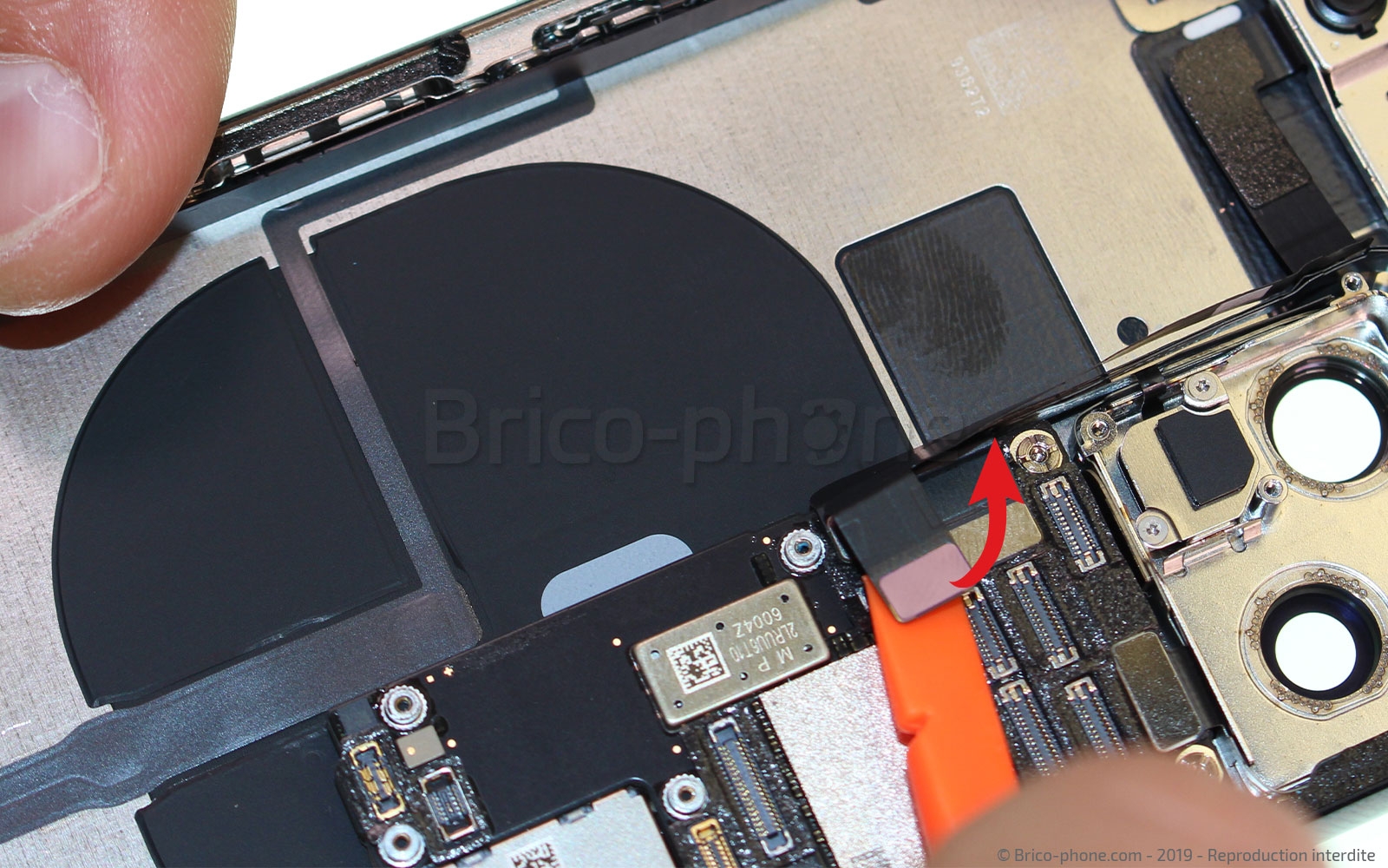 Démontage complet sur iPhone 11 Pro photo 1