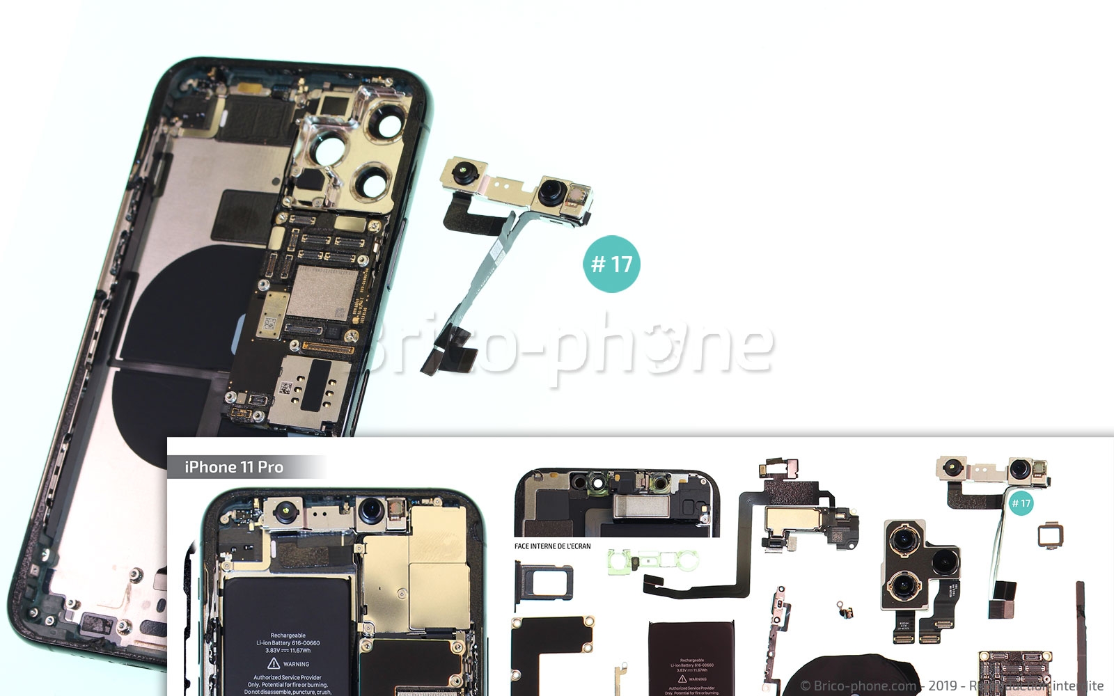 Démontage complet sur iPhone 11 Pro photo 4