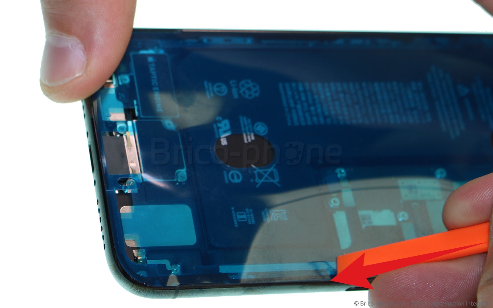 Changement du vibreur Taptic Engine sur iPhone 11 Pro photo 2